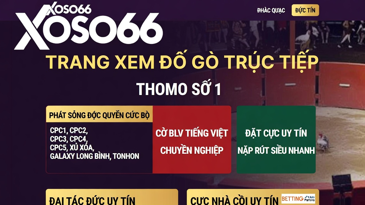 Sân đá gà Tonhon