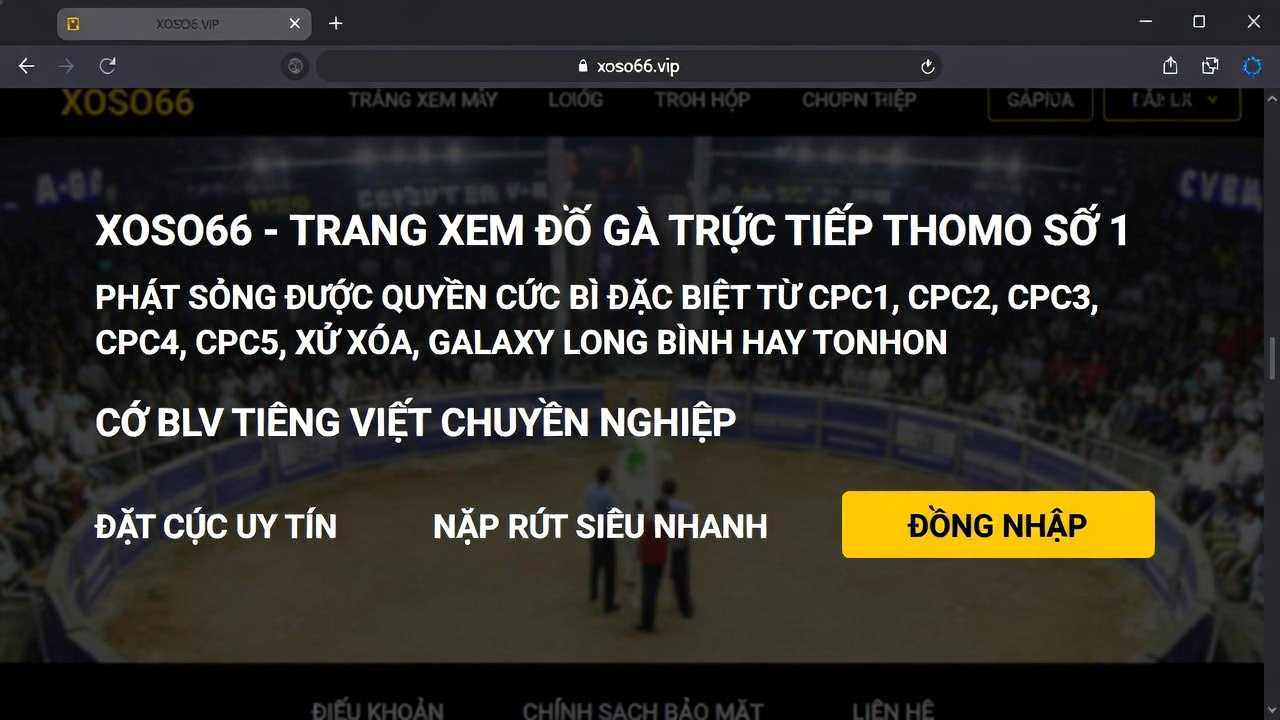 Thương hiệu XOSO66 uy tín